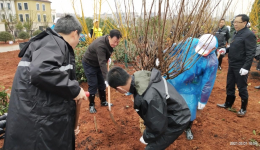 刘奇易炼红等省、市领导参加义务植树活动